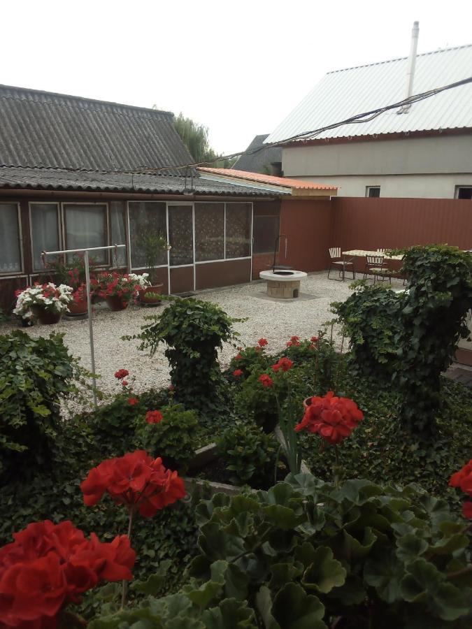 Vadkacsa Apartmanhaz Medencevel Zamárdi Εξωτερικό φωτογραφία